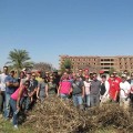 Group after harvesting beans in Upper Egypt