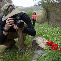 A photographer snaps a photo of a flower.